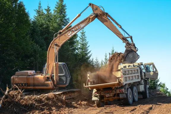 Dendy Kasyno Wsparcie